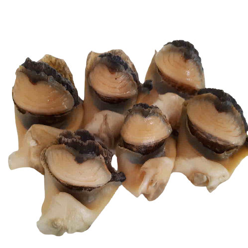 FROZEN BOILED TOP SHELL MEAT